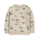 Джемпер для мальчика с динозаврами Carter’s 4T