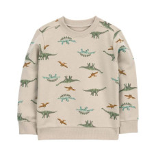 Джемпер для мальчика с динозаврами Carter's 5T