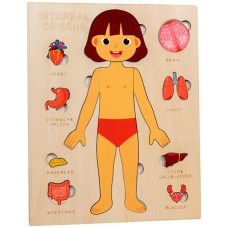 Пазл деревянный человеческое тело арт.D17-89 Bobek 