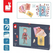 Магнитный пазл Структура человкека 5491 Janod 