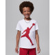 Костюм JDB JUMBO JUMPMAN SHORT SET: мальчик R78, 85C138, Nike