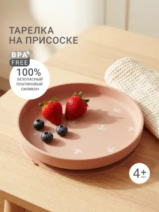 Силиконовая тарелка на присоске EDDA