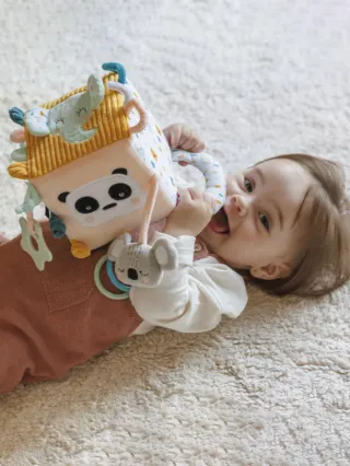 Игрушка подвесная серия "Бизиборд" Hape