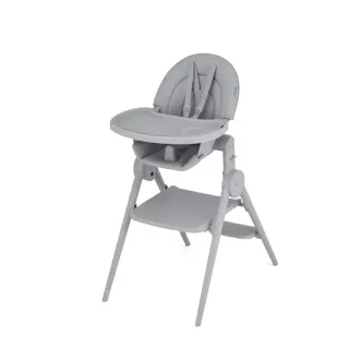 Стульчик для кормления High Chair Ozy ANEX